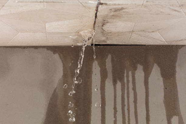Professional Structural Drying technician working in Johnstown, OH